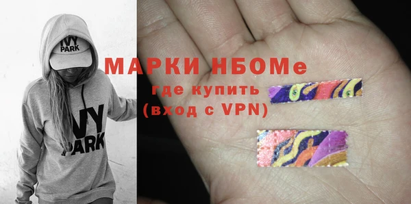 стаф Алзамай