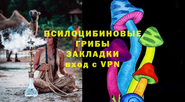 стаф Алзамай