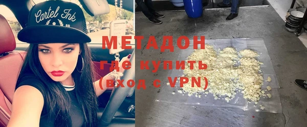 стаф Алзамай