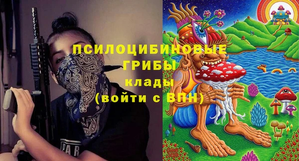 стаф Алзамай