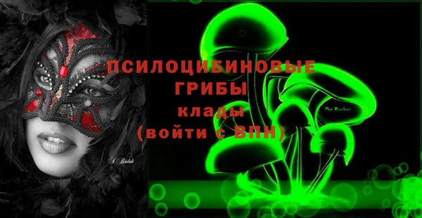 стафф Алексеевка